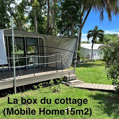 Le Cottage De Castaing Sur Plage Privee Сент-Анн Экстерьер фото
